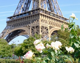 Photo tour Eiffel et fleurs