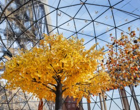 Photo de la terrasse d’automne 2025