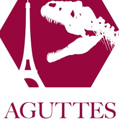 Logo Dinosaure Aguttes