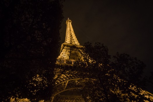 Jardins de nuit