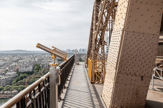 Vue depuis la tour Eiffel 