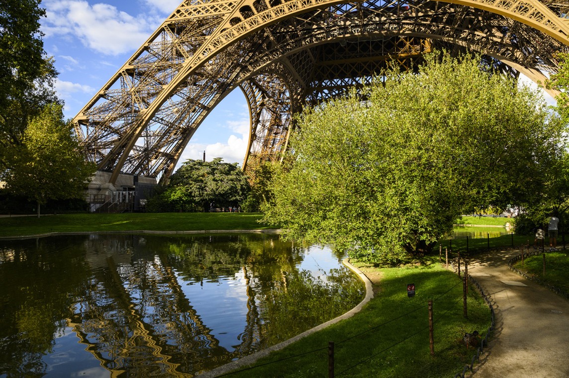 Photo prise des jardins de la tour Eiffel