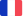 French flag icon